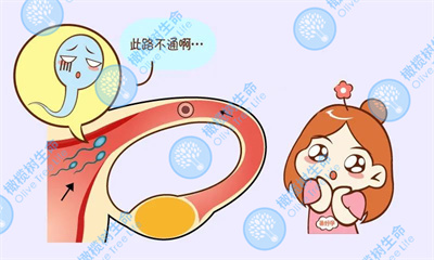 有输卵管积液去泰国做试管有什么治疗方案?
