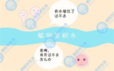 有输卵管积液去泰国做试管有什么治疗方案?