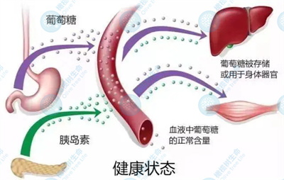 吃“碳水”会降低生育力，这是真的吗？