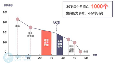 备孕1年以上不孕，是什么决定要不要做试管的？