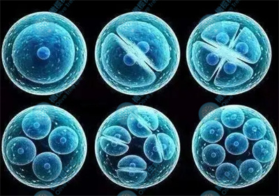 关于试管婴儿胚胎移植，你必须得了解的7件事！
