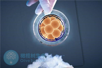 胚胎移植后出血怎么回事？胚胎移植后需要注意