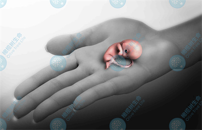 泰国试管婴儿：高龄生育如何预防囊胚染色体异常？
