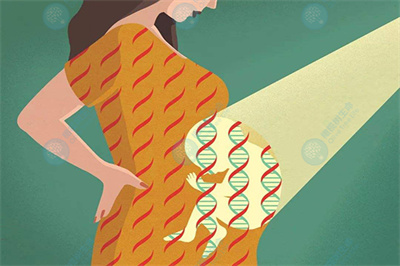 泰国试管婴儿：高龄生育如何预防囊胚染色体异常？