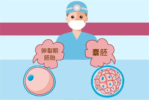 中国医师节 | 生殖医生——新生命的缔造者！