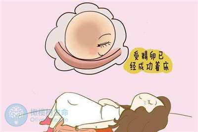 试管婴儿移植前提高着床能力-移植后营造着床环境