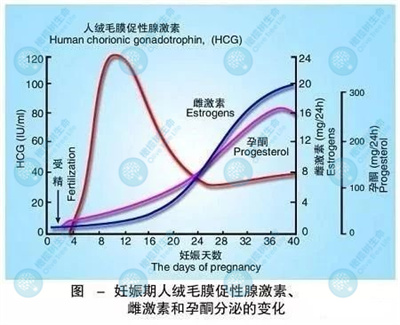 试管婴儿促排卵：分别在什么时间进行抽血检测?