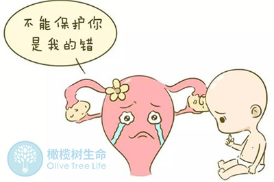 拦不住的求子心 卵巢囊肿患者去泰国做试管婴儿终好孕
