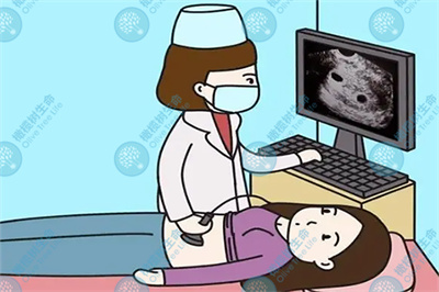 去泰国做试管婴儿：卵泡发育应满足哪些标准？