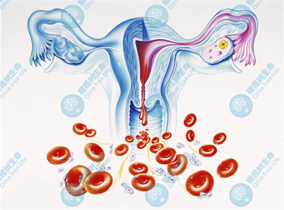 促排取卵后子宫内膜变薄怎么办？会影响试管周期吗？