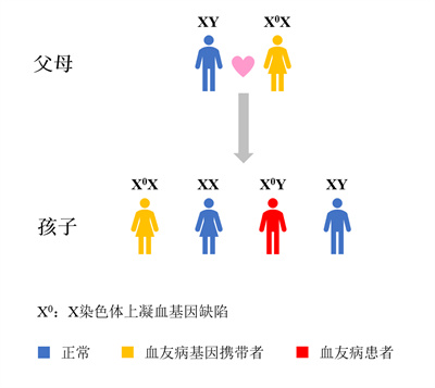 世界血友病日|关爱“玻璃人”，三代试管婴儿技术阻断遗传病！