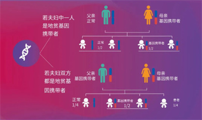 世界地贫日|三代试管婴儿技术助力宝宝“脱贫”！
