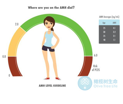 不同年龄段的女性AMH正常范围，AMH低对试管成功率的影响