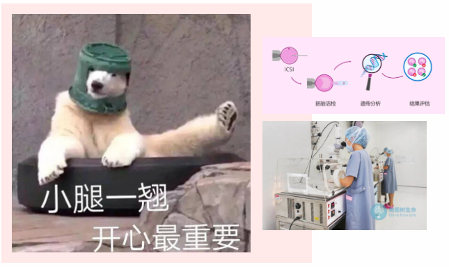 教师节特辑 | 超实用的试管省钱攻略，快来get！