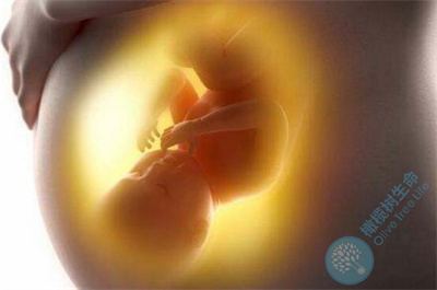 试管移植成功后，使用黄体酮保胎能起到哪些作用？