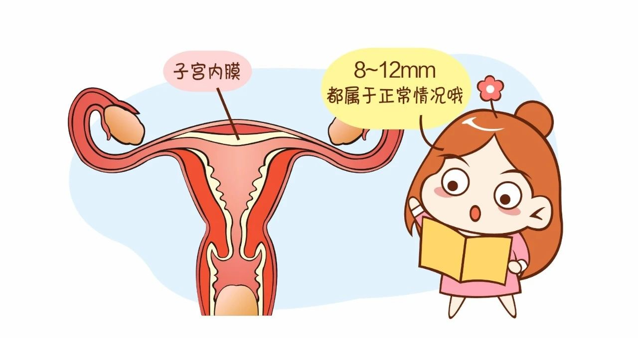 好好的子宫内膜怎么会变薄？内膜薄对试管成功率的影响