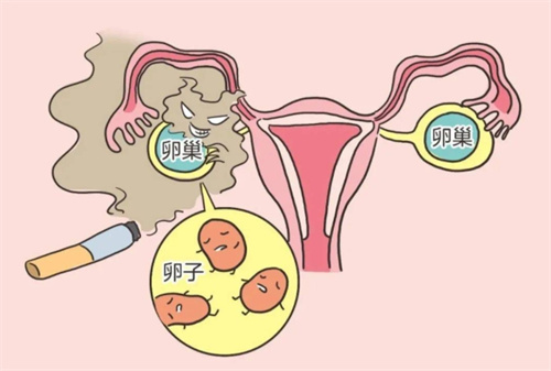 为何女性你要比同龄人显得老气?可能都是卵巢衰退引发的