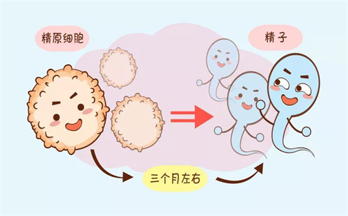 世界男性健康日|试管准爸爸们，请领取你的任务表！