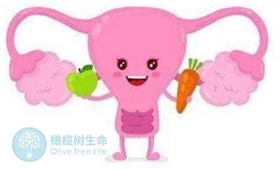 熬夜是如何影响试管婴儿成功率的？又该如何化解！