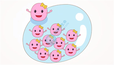 试管人群必看：为什么卵泡数≠取卵数≠胚胎数？