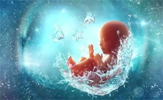 什么样的卵泡才能有较高的试管婴儿成功率？