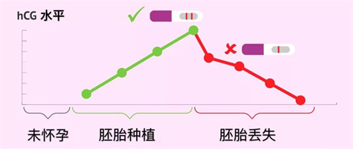 试管婴儿移植后hCG值有点低！会是生化妊娠吗？