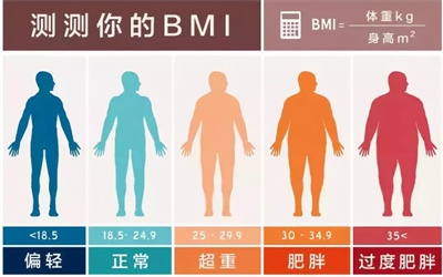 BMI的高低是否会对试管婴儿的成功率产生影响？