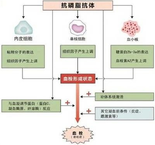 怀得上留不住，做试管婴儿前可能是这几个方面出了问题
