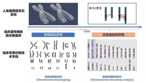 怀得上留不住，做试管婴儿前可能是这几个方面出了问题
