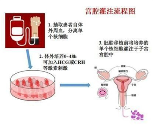适合胚胎着床的内膜，5个方法教你养出来！