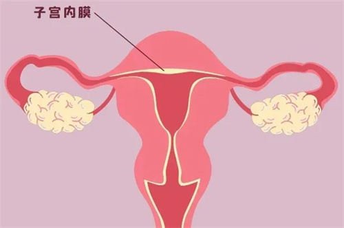 子宫内膜增厚与什么原因有关？该怎么防止内膜的增厚、恶变？