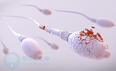 这个提高胚胎质量的「捷径」，还能减少48%不孕发生率！很多人都忽略了！