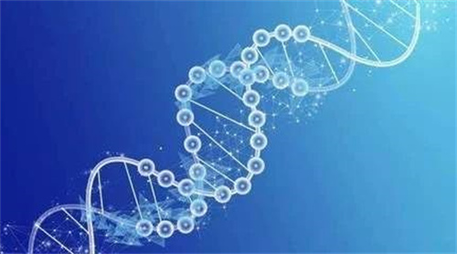 “种子”变少，还有机会成就“爸”业吗？