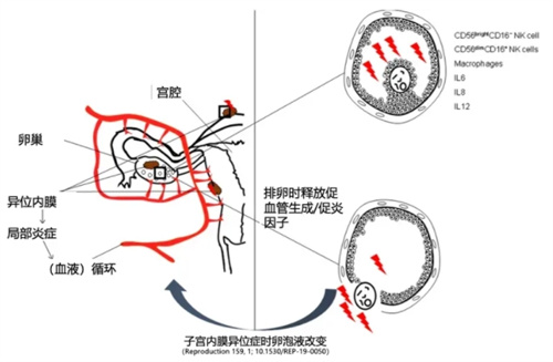 50%的难孕人群，都是因为这个因素在作怪！