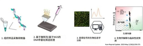 大龄胚胎如此珍贵，却有2/3止步于此？！不要掉以轻心！