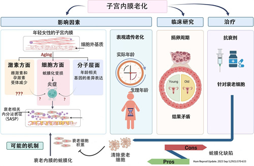 微信图片_20240906101603.jpg
