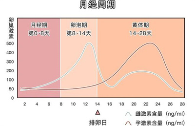 卵泡大又圆还是怀不上，有可能是因为它！