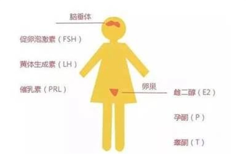 高泌乳素血症，也是会影响怀孕的！