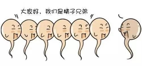 做试管婴儿低质量的囊胚，还有移植的必要吗？