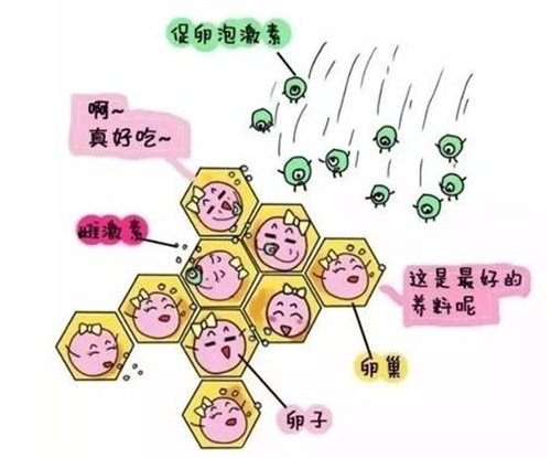 微信图片_20241108171106.jpg