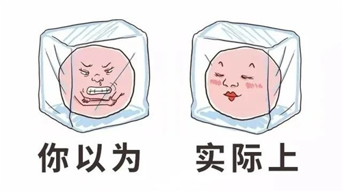 做试管婴儿前需要提前知道，鲜胚与冻胚谁才是「胚胎王者」？