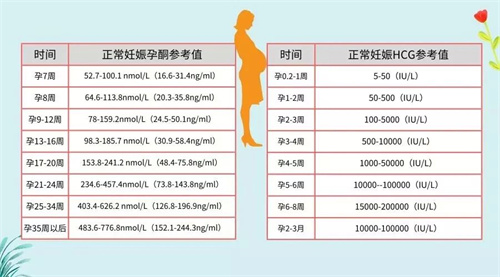 胚胎移植成功后必查的HCG，你究竟了解多少？