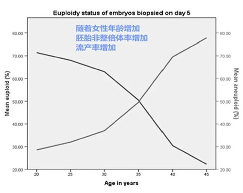 高龄女性备孕难，这些生育策略你get到了吗？