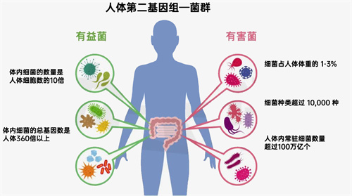 胚胎最爱这样的内膜！6个方法养内膜，做到1个就管用！