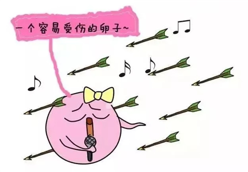 增加卵泡数量的“神药”，为啥我用了没效果？