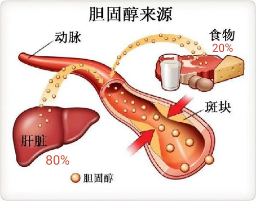 增加卵泡数量的“神药”，为啥我用了没效果？