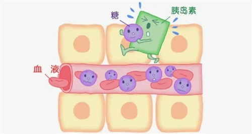 检查都正常却久久怀不上？！这个比「年龄」更重要的因素，你一定忽视了！