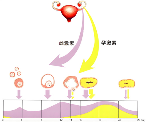 子宫动脉血流异常对IVF的影响是什么？有什么办法解决？