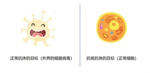 绒毛膜下出血是怎么回事？对怀孕有影响吗