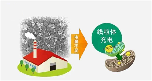 春节期间试管成功率下降？！3个关键点或许可以帮你赢回胜局！